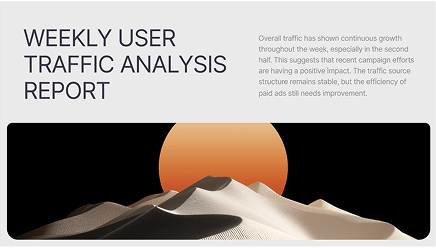 Weekly User Traffic Analysis Report