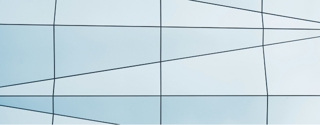 state-owned_enterprise_software_development