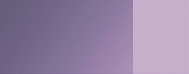 market_feedback_management